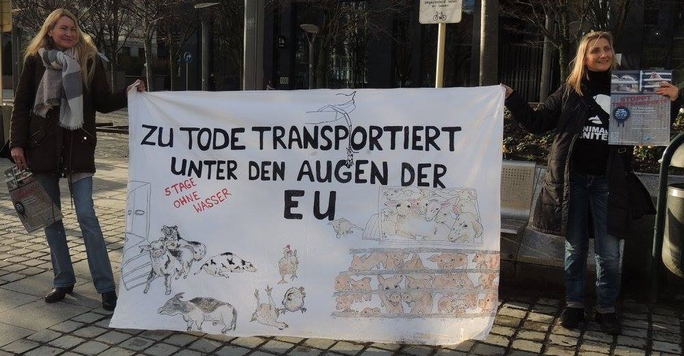Demo Tiertransporte Bruessel Handgefertigtes Banner